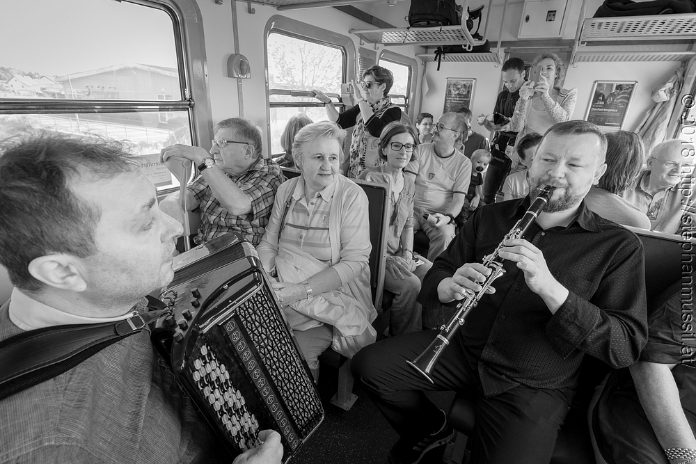 20180708 schrammelklang @ litschau c2018 www.StephanMussil.at 368 2.2K.jpg