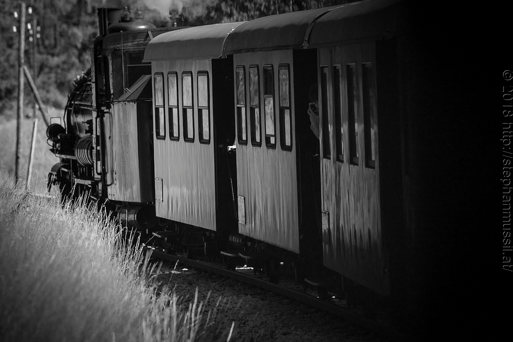 20180708 schrammelklang @ litschau c2018 www.StephanMussil.at 383 2.2K.jpg