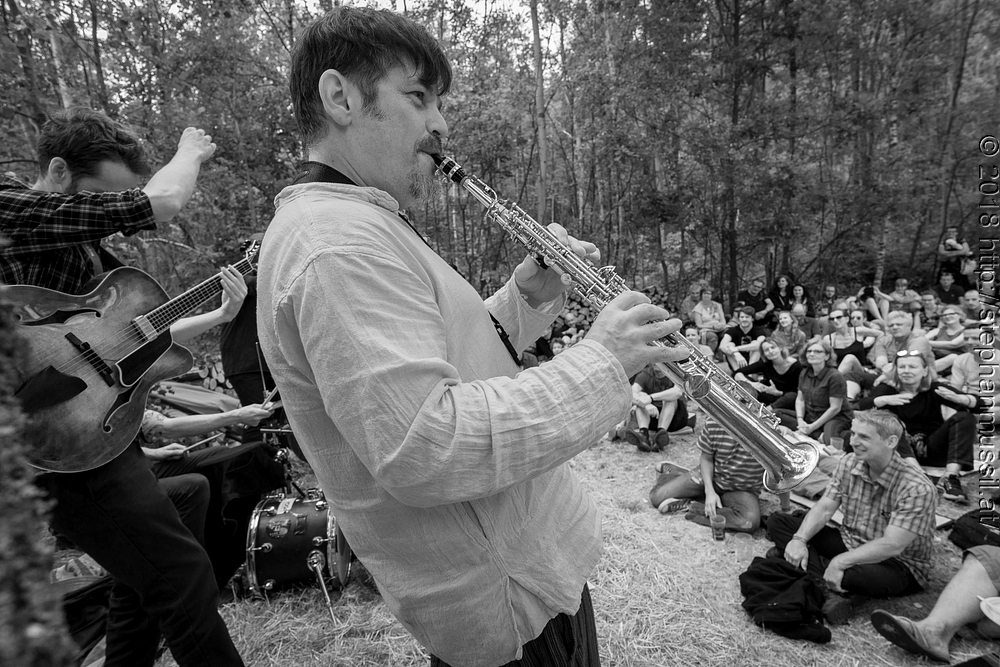 20180708 schrammelklang @ litschau c2018 www.StephanMussil.at 407 2.2K.jpg