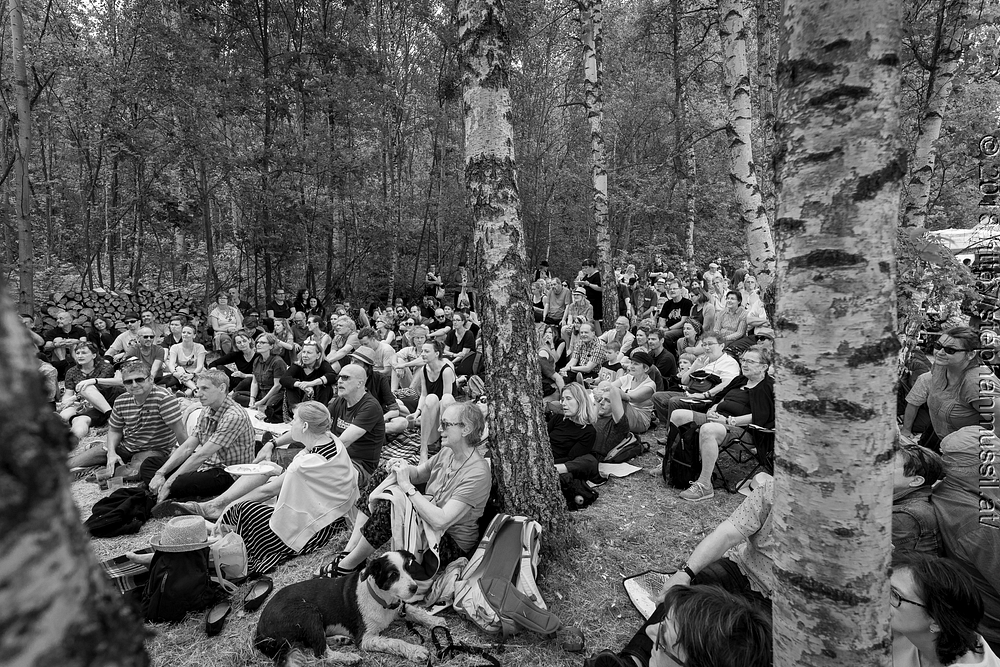20180708 schrammelklang @ litschau c2018 www.StephanMussil.at 409 2.2K.jpg