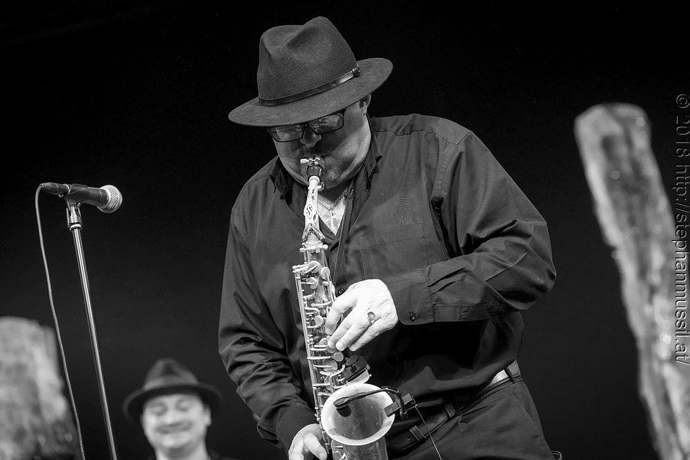 20180708 schrammelklang @ litschau c2018 www.StephanMussil.at 447 2.2K.jpg