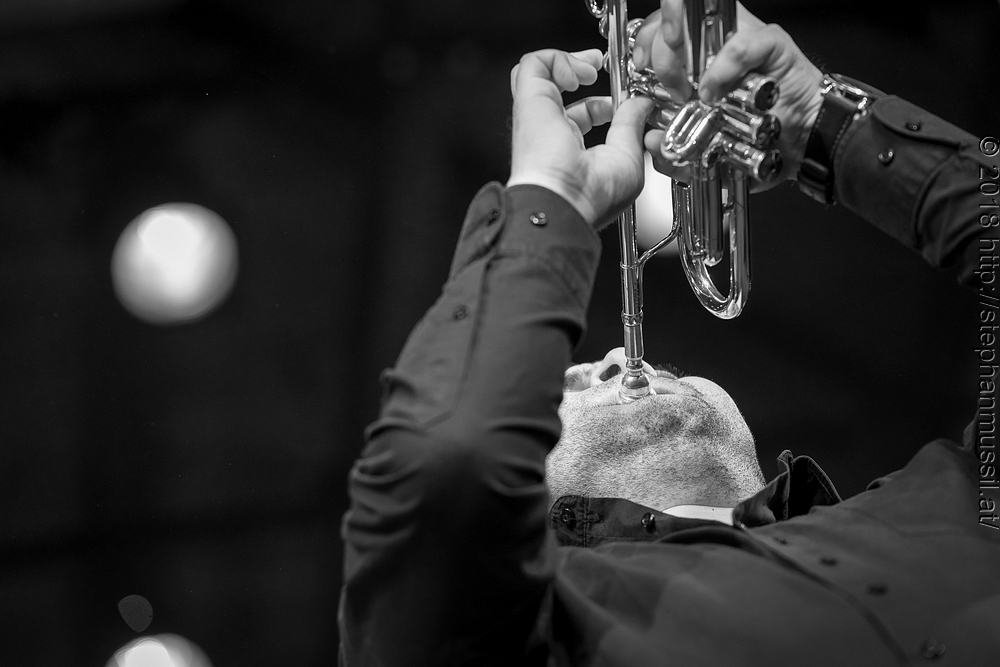 20180708 schrammelklang @ litschau c2018 www.StephanMussil.at 456 2.2K.jpg