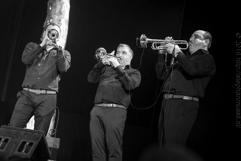 20180708 schrammelklang @ litschau c2018 www.StephanMussil.at 457 2.2K.jpg