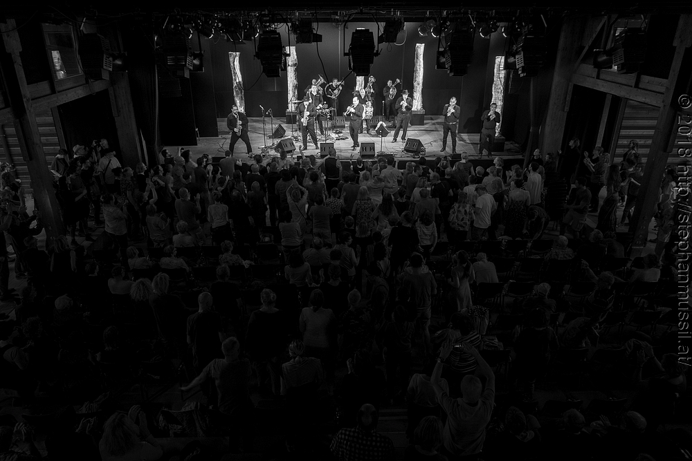 20180708 schrammelklang @ litschau c2018 www.StephanMussil.at 477 2.2K.jpg