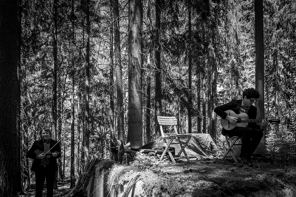 20190706 Schrammelklang  @ Litschau c2019 www.mussil.eu 102 SW 2.2K.JPG