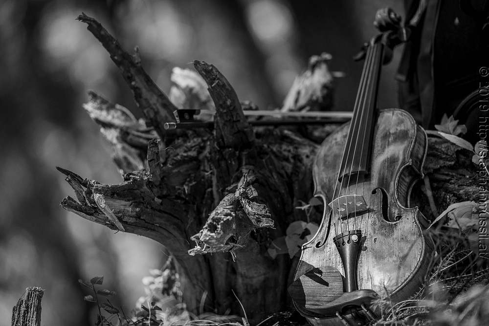 20190706 Schrammelklang  @ Litschau c2019 www.mussil.eu 121 SW 2.2K.JPG