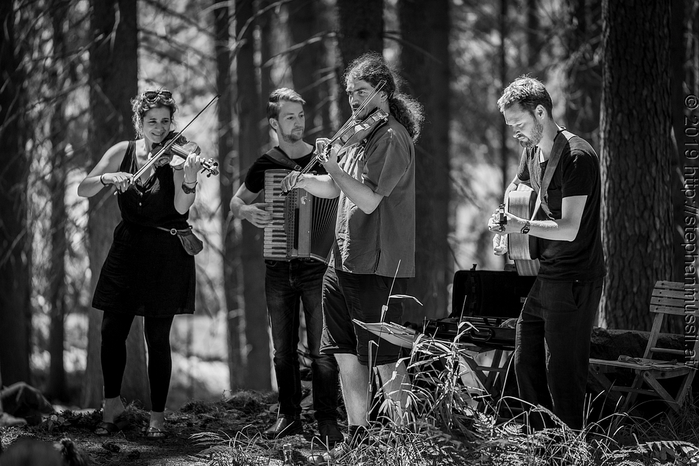 20190706 Schrammelklang  @ Litschau c2019 www.mussil.eu 132 SW 2.2K.JPG