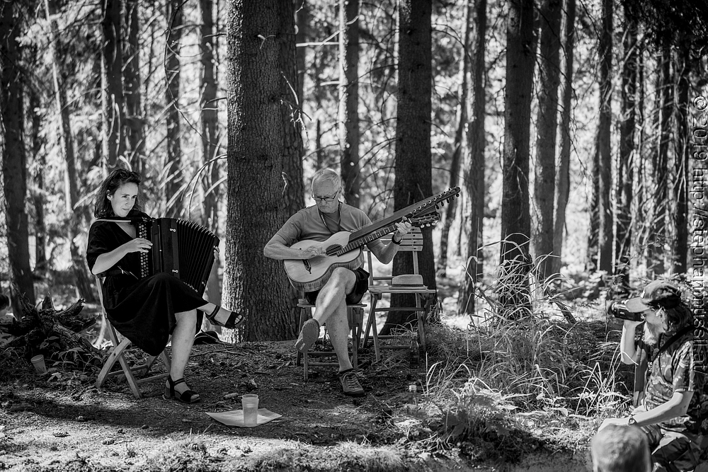 20190706 Schrammelklang  @ Litschau c2019 www.mussil.eu 163 SW 2.2K.JPG