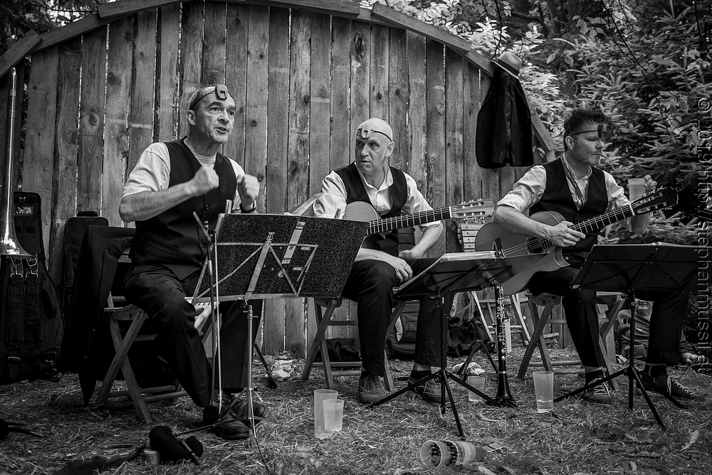 20190706 Schrammelklang  @ Litschau c2019 www.mussil.eu 222 SW 2.2K.JPG