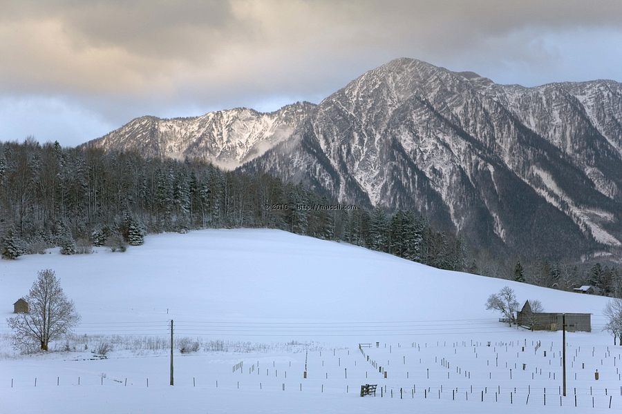_MG_1112 60x40.jpg