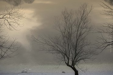 _MG_7703 60x40.jpg