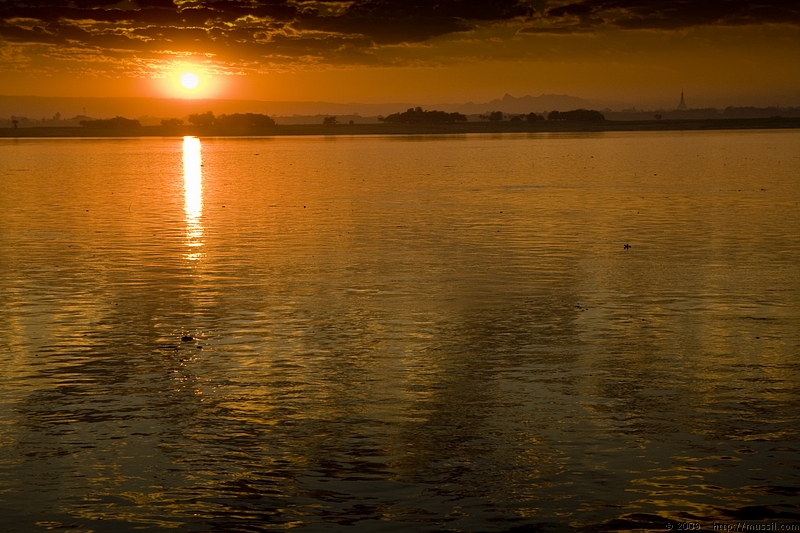 _MG_7266.JPG