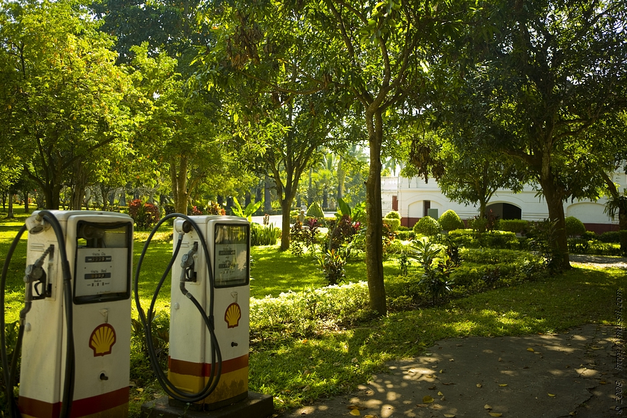 _MG_1235_1.jpg