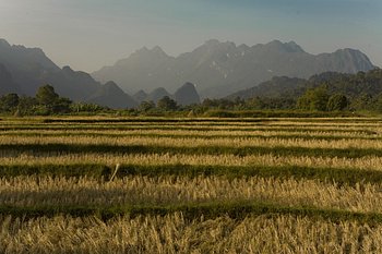 _MG_0710_1.jpg
