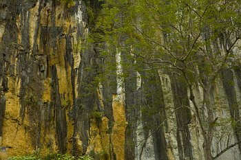 _MG_0918_1.jpg