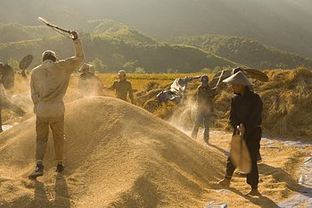 _MG_1067_1.jpg