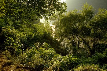 _MG_1115_1.jpg
