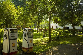 _MG_1235_1.jpg