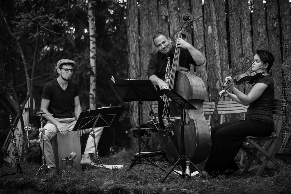 20160709 Schrammelklang @ Litschau c2016 www.stephanmussil.at NR 186.jpg