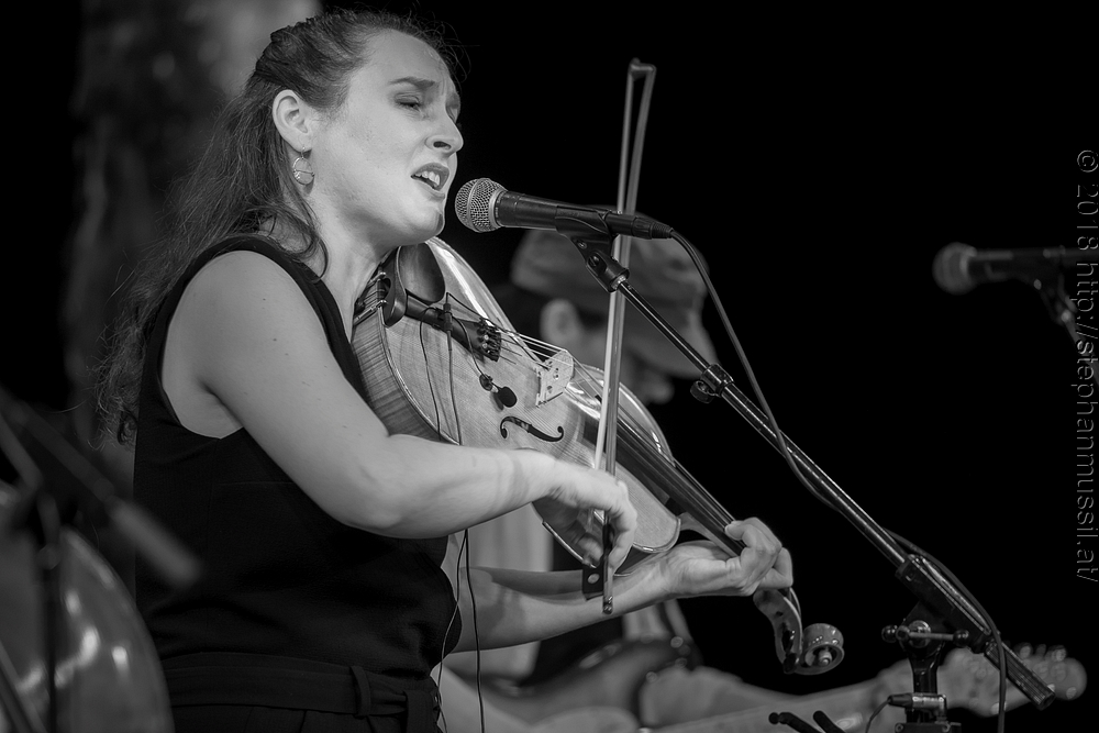 20180706 schrammelklang @ litschau c2018 www.StephanMussil.at 082 2.2K.jpg