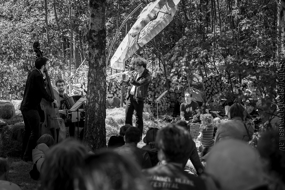 20180707 schrammelklang @ litschau c2018 www.StephanMussil.at 204 2.2K.jpg