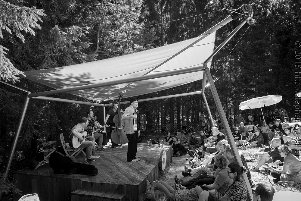 20180707 schrammelklang @ litschau c2018 www.StephanMussil.at 214 2.2K.jpg