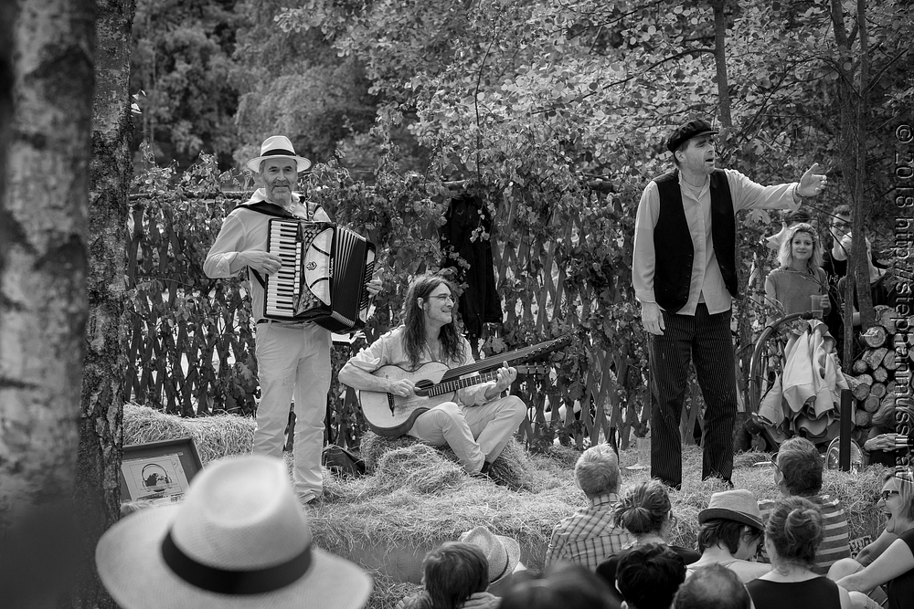 20180708 schrammelklang @ litschau c2018 www.StephanMussil.at 419 2.2K.jpg