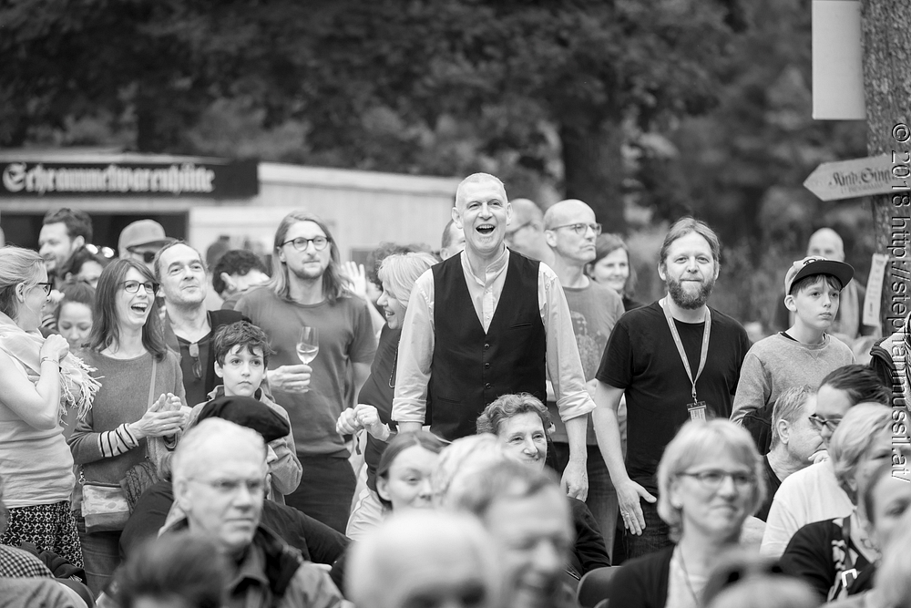 20180708 schrammelklang @ litschau c2018 www.StephanMussil.at 461 2.2K.jpg