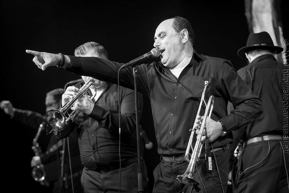 20180708 schrammelklang @ litschau c2018 www.StephanMussil.at 463 2.2K.jpg