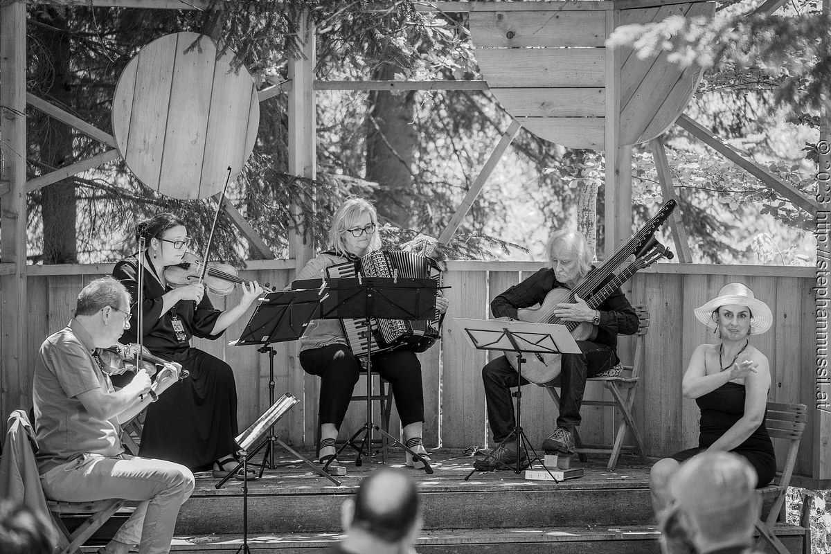 20230709 SCHRAMMELKLANG @ LITSCHAU (c) 2023 www.mussil.eu 041 2.2K BW.jpg