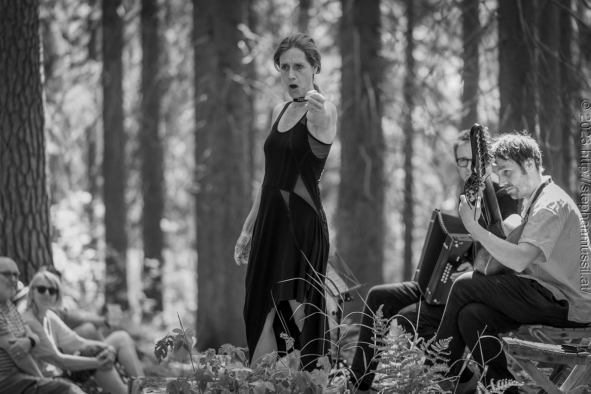 20230709 SCHRAMMELKLANG @ LITSCHAU (c) 2023 www.mussil.eu 080 2.2K BW.jpg