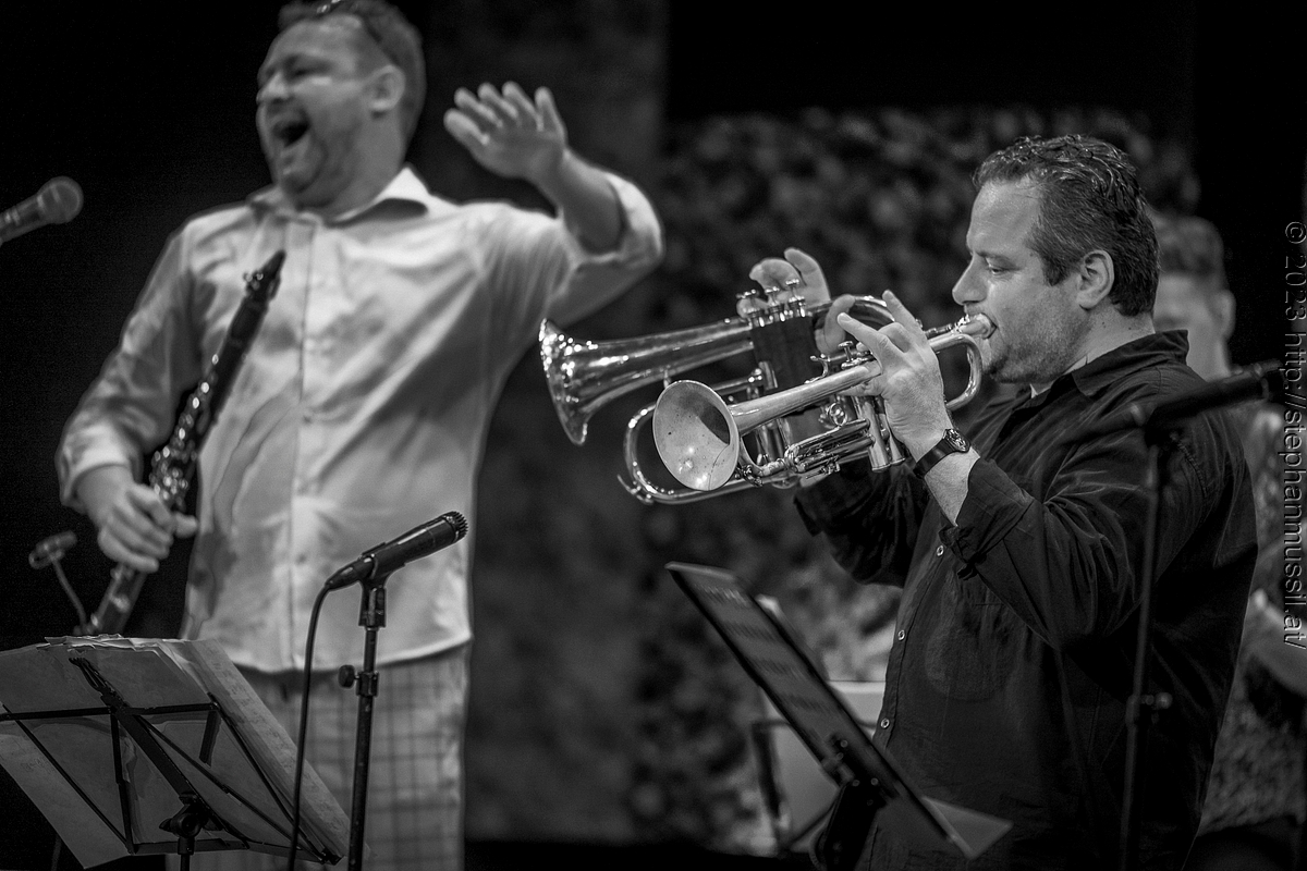 20230709 SCHRAMMELKLANG @ LITSCHAU (c) 2023 www.mussil.eu 180 2.2K BW.jpg