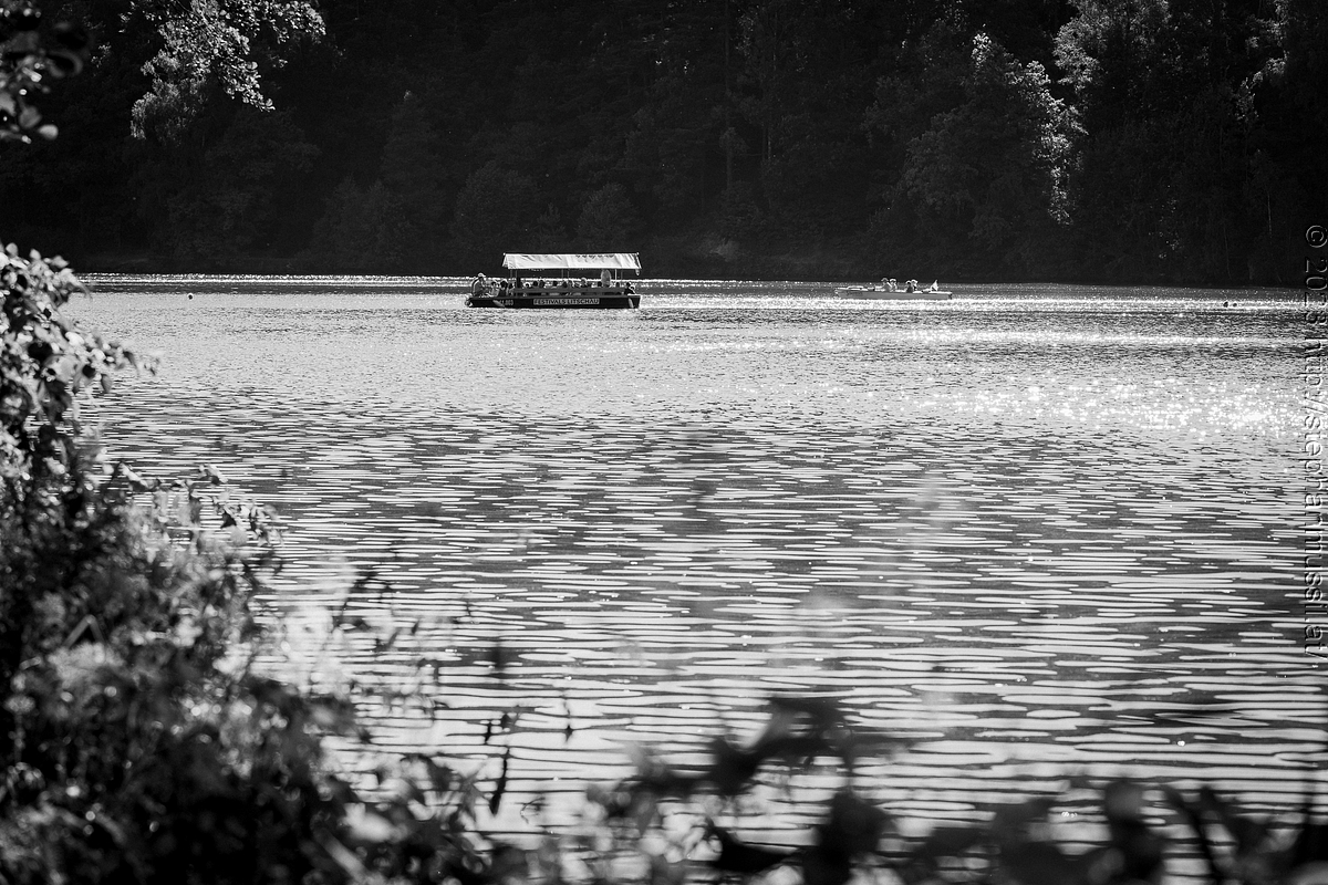 20230715 SCHRAMMELKLANG WE2 @ LITSCHAU c2023 www.mussil.eu 134 2.2K.JPG