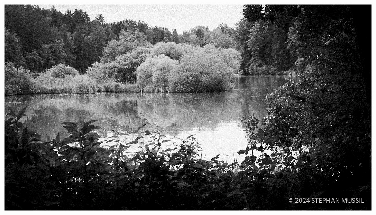 20240707 GUIDE FRAMES @ SKF WE1 (c) 2024 www.mussil.eu 178 BW.jpg