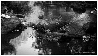 20240706 GUIDE FRAMES @ SKF WE1 (c) 2024 www.mussil.eu 105 BW.jpg