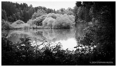 20240707 GUIDE FRAMES @ SKF WE1 (c) 2024 www.mussil.eu 178 BW.jpg