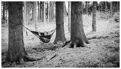 20240714 Guidframes @ SKF WE2 (c) 2024 www.mussil.eu 182 BW.jpg