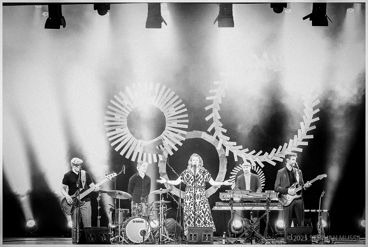 20250712 25 Jahre B.Denk u. Band  @ www.schrammelklang.at (c) 2025 www.mussil.eu 349 2 BW.jpg