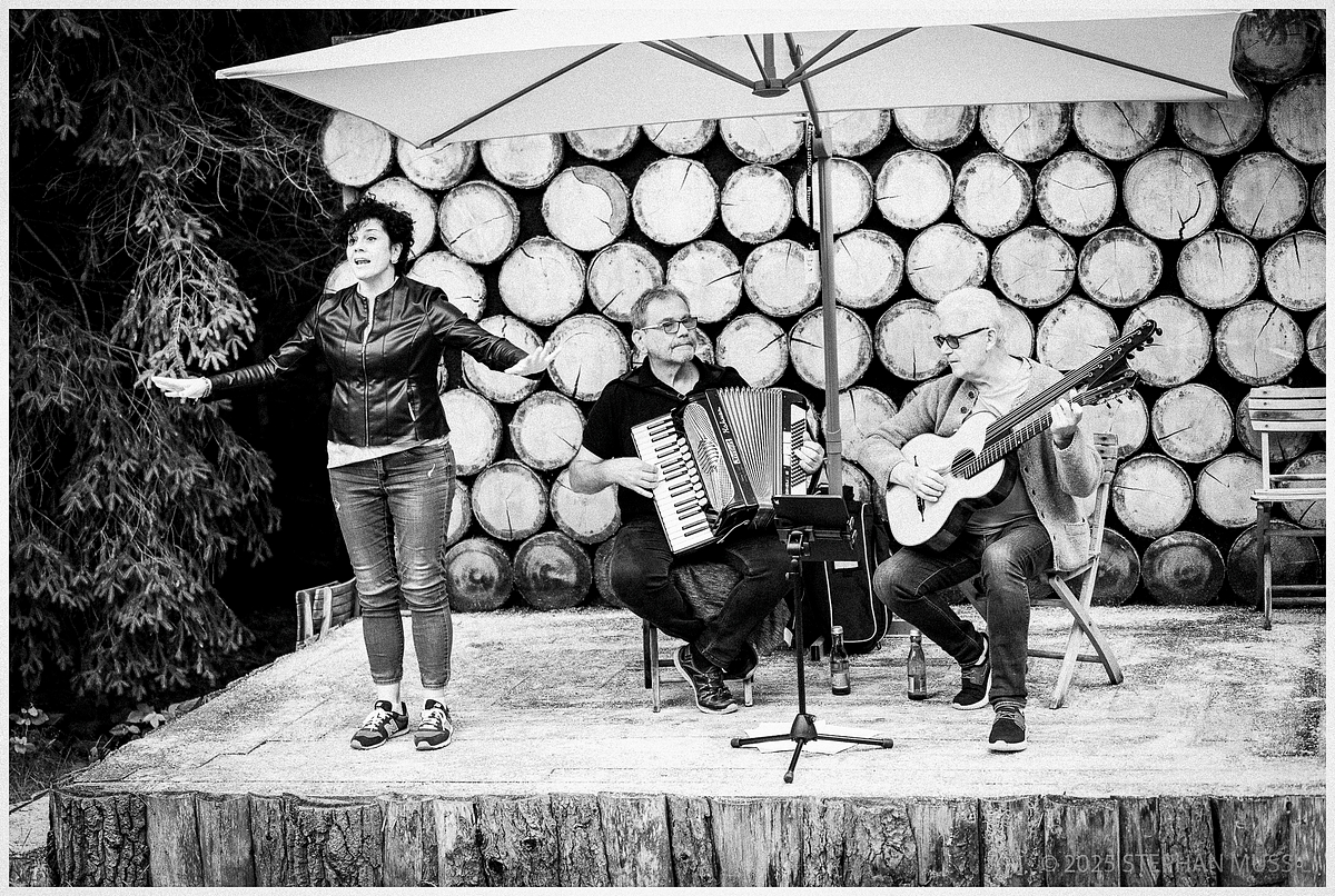 20250712 Schrammelpfad  @ www.schrammelklang.at (c) 2025 www.mussil.eu 239 2 BW.jpg