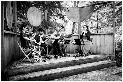 20250712 Schrammelpfad  @ www.schrammelklang.at (c) 2025 www.mussil.eu 220 2 BW.jpg