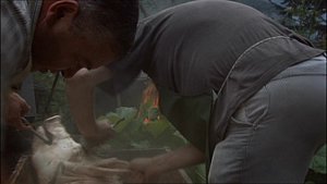 PDVD_010.JPG