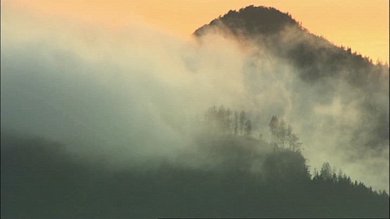 MAHLER230.jpg