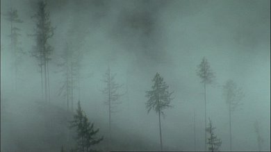 MAHLER543.jpg