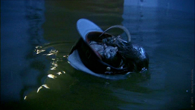 PDVD_331.JPG