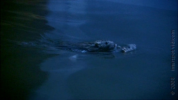 PDVD_338.JPG
