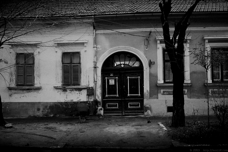 _MG_9065.JPG